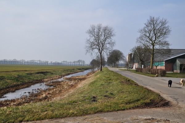 Afbeelding invoegen
